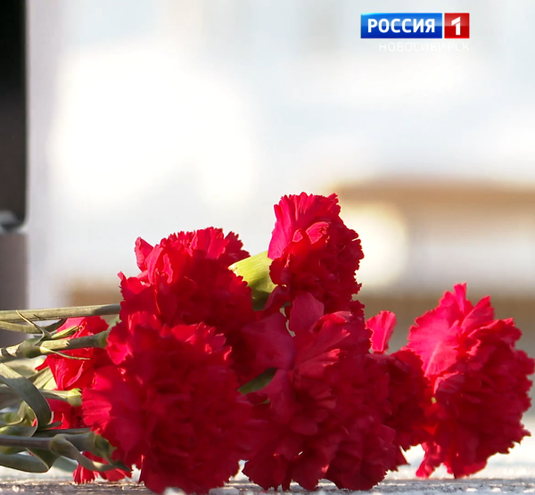 Цветы Цветы