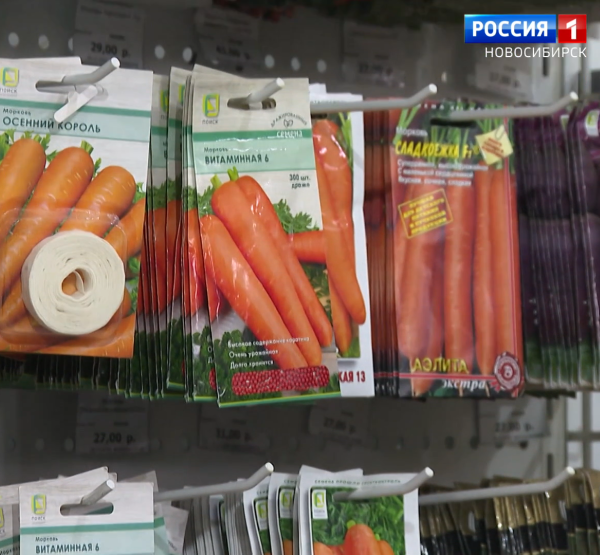 Семена Семена