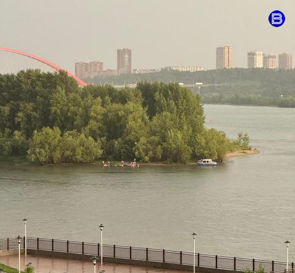 Сапбордисты Сапбордисты