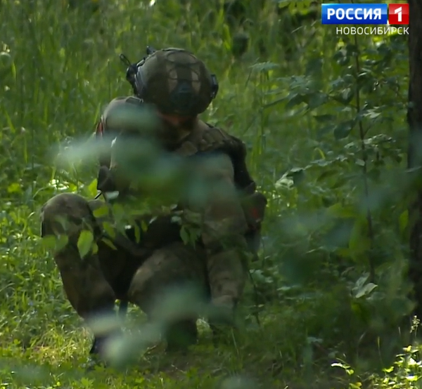 Экзамен в лесу Экзамен в лесу