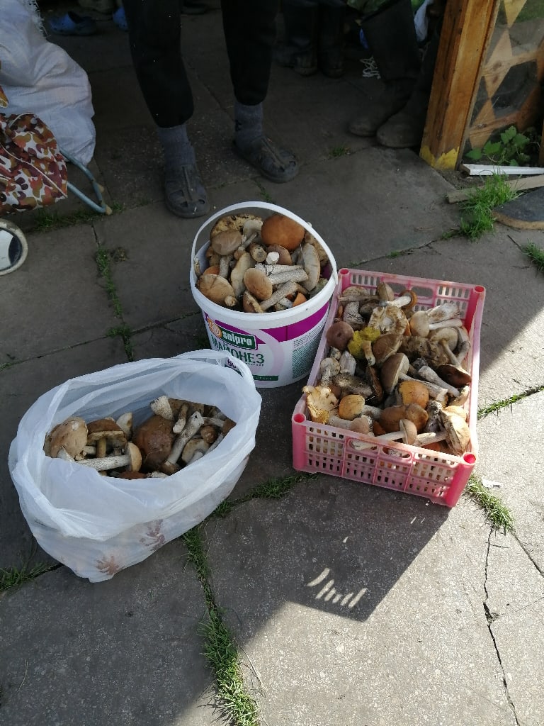 3.jpg 3.jpg