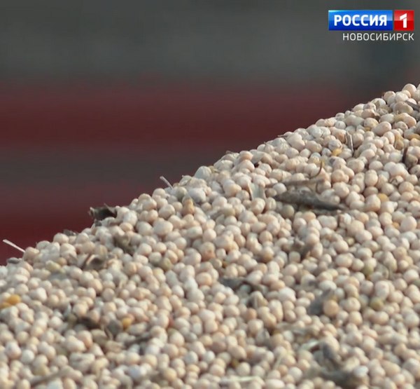 Уборочная