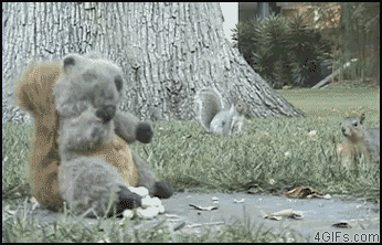111.gif