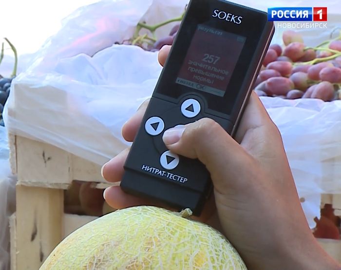 Проверка дыни нитратомером