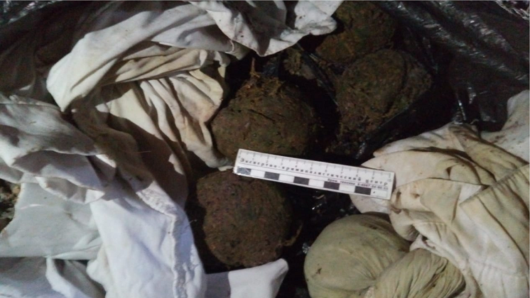 photoeditorsdk-export - 2020-10-22T162711.324.png