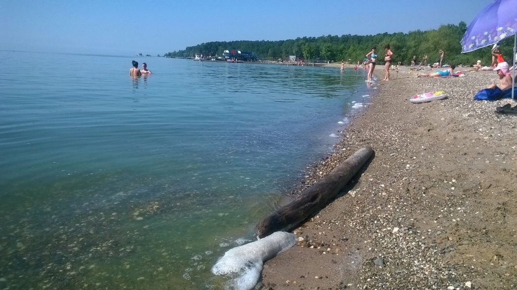 Обское Море Новосибирск Фото