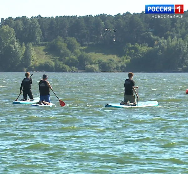 Сапсерферы