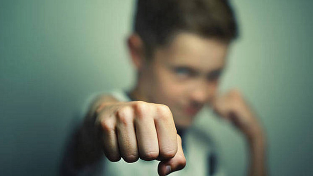 Под Новосибирском 13-летний подросток прилюдно избил своего сверстника