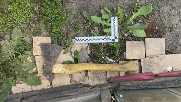 Новосибирец предстанет перед судом за попытку задушить маму