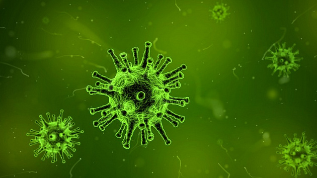 В Новосибирской области ещё 400 человек заразились коронавирусом