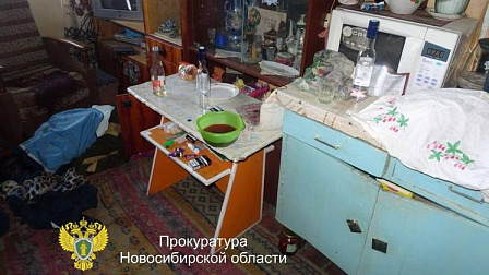 Под Новосибирском задержали женщину за убийство ножом знакомой во время попойки