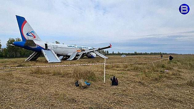 Росавиация нашла ошибки в расследовании посадки Airbus A320 в новосибирском поле