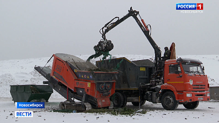 В Новосибирске новогодним ёлкам дали вторую жизнь
