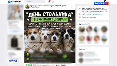 Полиция проверит приют «Бумеранг добра» в Новосибирске по заявлению волонтеров