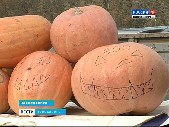 В Новосибирске у цирка проходит ярмарка сельхозпродуктов