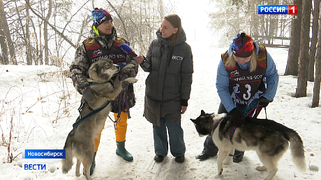 ВЕСТИ Новосибирск