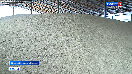 Рекордный урожай зерна собрали новосибирские аграрии