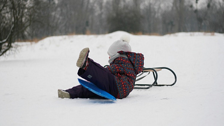 В Новосибирске сбитого 2-летнего ребёнка на санках поместили в реанимацию