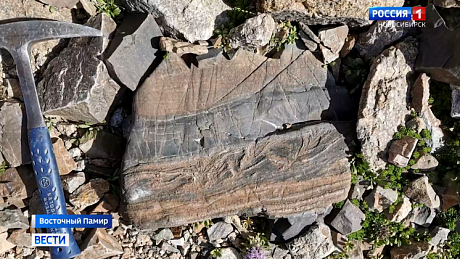 ВЕСТИ Новосибирск