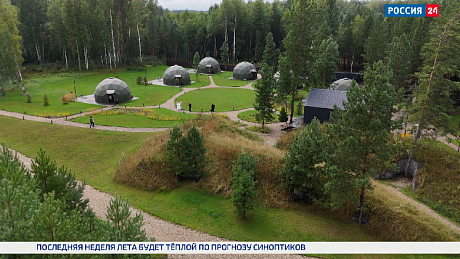 ВЕСТИ Новосибирск