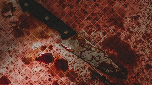 Новосибирца отправили в колонию на девять лет за убийство шурина