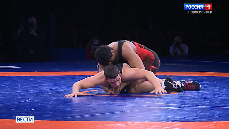 На международном турнире по греко-римской борьбе новосибирцы взяли четыре медали 