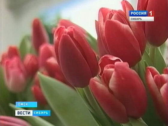 Как сделать так, чтобы бутоны распустились к нужному дню?