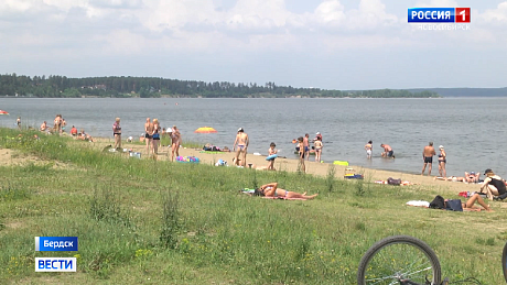 ВЕСТИ Новосибирск