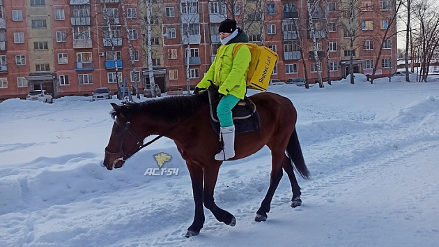 Под Новосибирском курьер доставлял заказы верхом на лошади