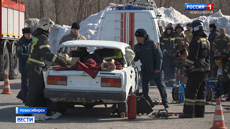 ВЕСТИ Новосибирск