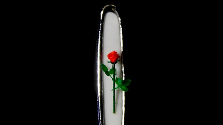 Микроминиатюрист из Новосибирска сделал помещающуюся в игольном ушке розу