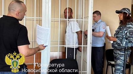 В Новосибирске будут судить водителя, наехавшего на загорающую на пляже женщину