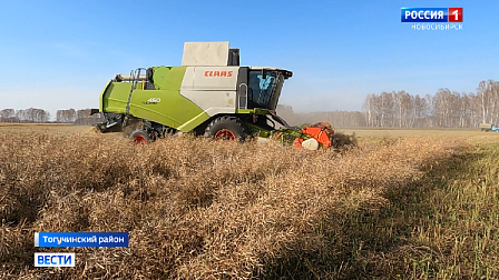 В Новосибирской области уборочная кампания затянулась из-за непогоды
