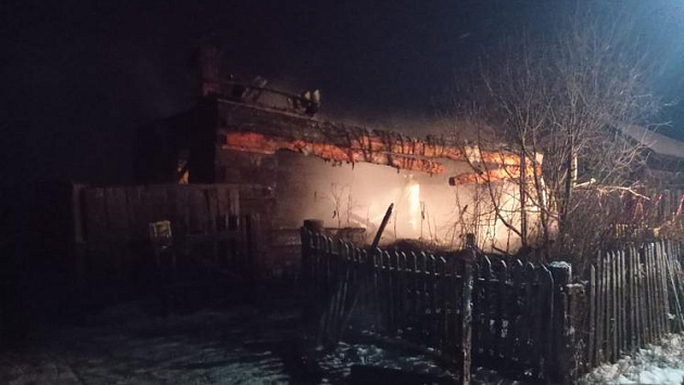 Мужчина с сыном погибли во время пожара в Новосибирской области