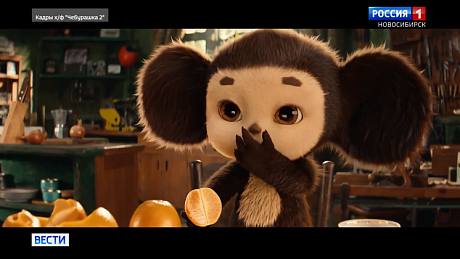 ВЕСТИ Новосибирск