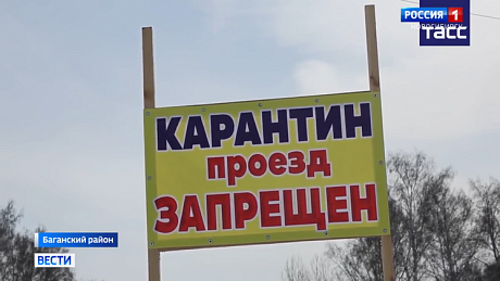 ВЕСТИ Новосибирск