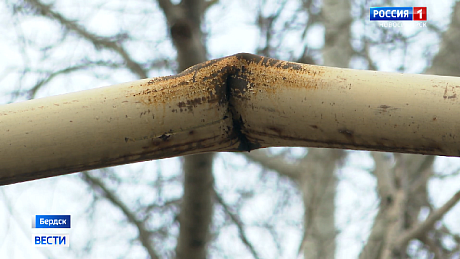 ВЕСТИ Новосибирск