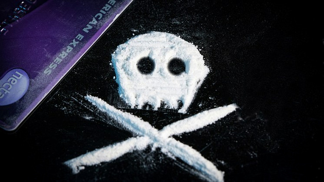 Новосибирец отделался условным сроком за выращивание конопли в квартире