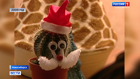 ВЕСТИ Новосибирск