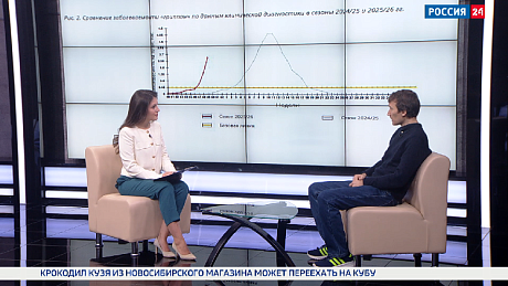 ВЕСТИ Новосибирск