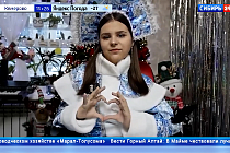 Новогодние мечты сибирских детей исполнились на акции «Ёлка желаний»