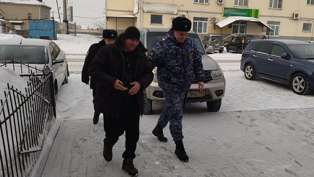 Громкий чих выдал прятавшегося от приставов в стоге сена новосибирца