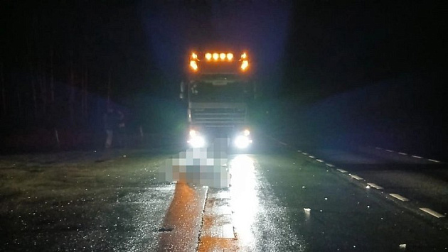 На трассе под Новосибирском 68-летний мужчина погиб под колёсами грузовика