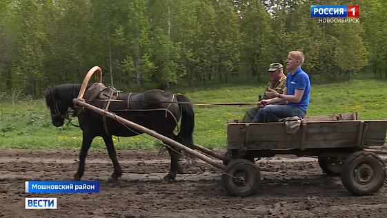 Дожди и большегрузы превратили дорогу в новосибирском селе в непреодолимое  препятствие 