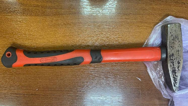 Новосибирца отправили в колонию за избиение оппонента молотком во время ссоры