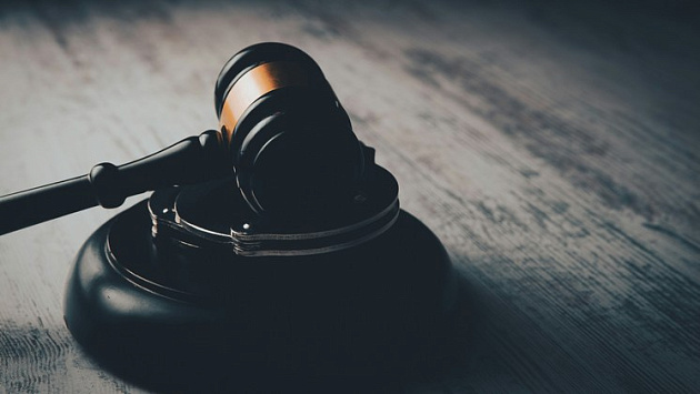 Новосибирского браконьера осудили за незаконный отстрел шести косуль