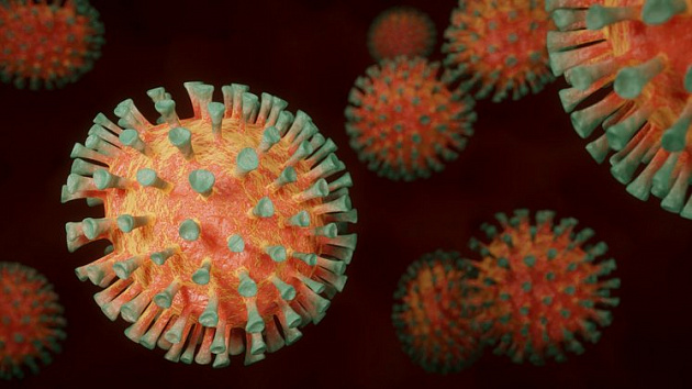 Десять новосибирцев скончались от коронавируса в Новосибирской области