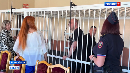 В Новосибирске вынесли приговор по резонансному делу об исчезновении ребёнка