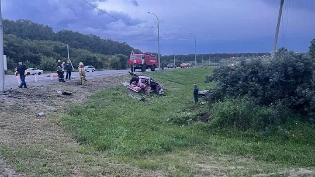 Новосибирский суд вынес приговор виновнице смертельного ДТП с фонарным столбом