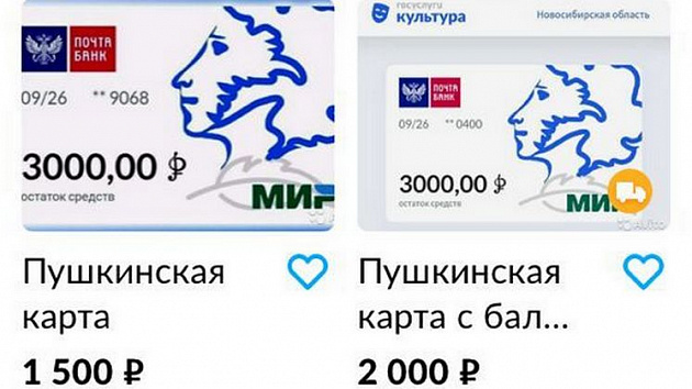 Новосибирские мошенники делают бизнес на «Пушкинских картах»
